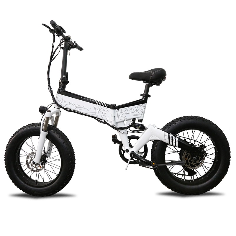 China electric bike fat tire folding electric bike 48v 750w best adult electric bicycle for company