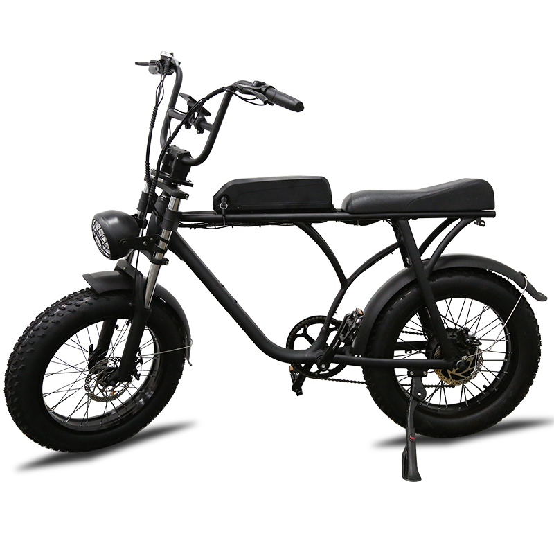 750w high power electric bike 20