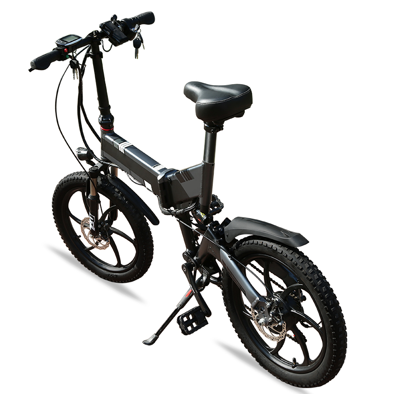 2 wheel electric bike 20inch factory OEM 36V 10AH 250w 350w mini electric bike