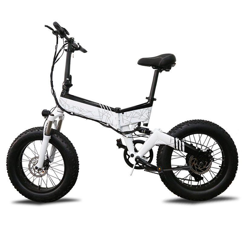 OEM electric beach bicycle disc brake electric bikes for adults two wheels for factory