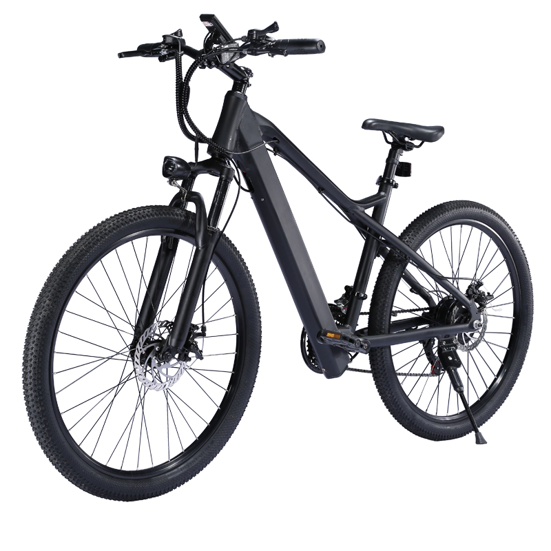 350W 36V electric bicycle european warehouse e bike 