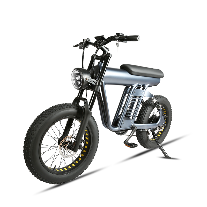 Custom 48v 750w ebike 2022 fat tire electric bike for factory