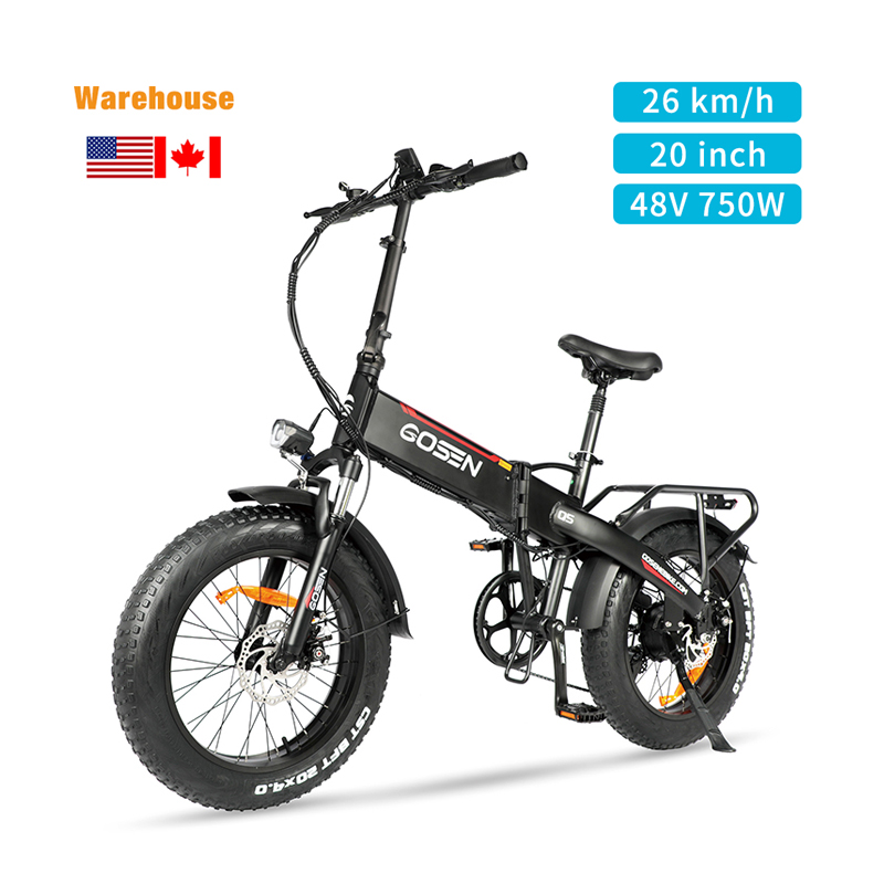 20 inch fat tire 750W enduro full suspension ebike for Ca warehouse