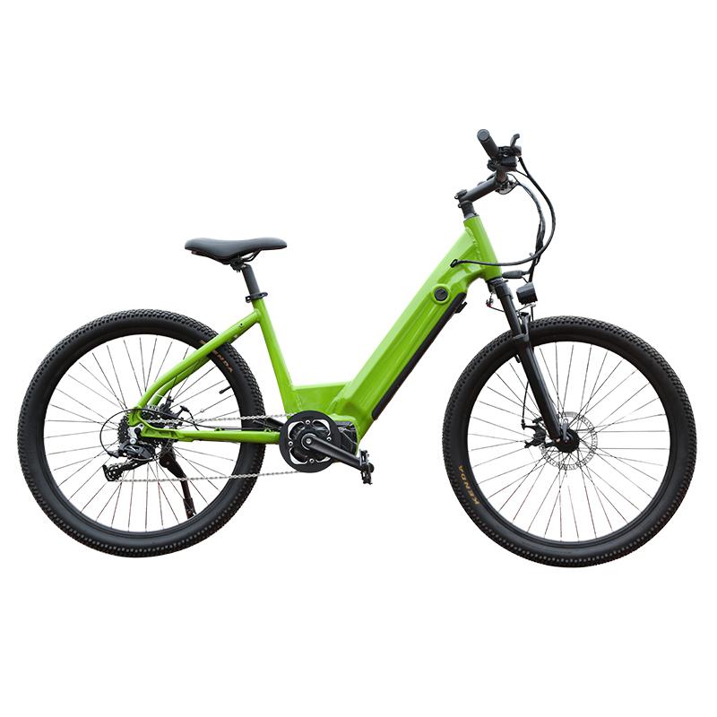 ODM E-Bike Aluminum Alloy Mini Electric Bike for Adult