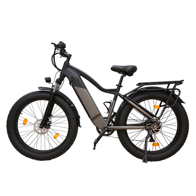 26 Inch Fat Tire Ebike 750W 48V 15AH Electric Beach Bike for  Factory Outlet