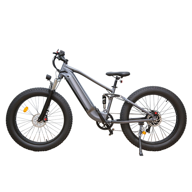 Factory Wholesale Electric Cruiser Bike 750W Brushess Motor 26inch Ebike