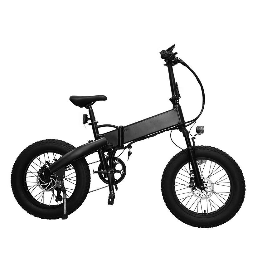 Electric Folding Bike 20 Inch 36V 10AH Cheapest Ebike