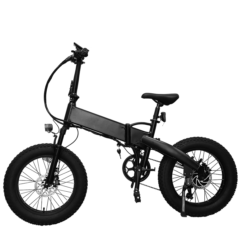 Electric Bike 20inch 7 Speed Fat Bike Ebike for Factory