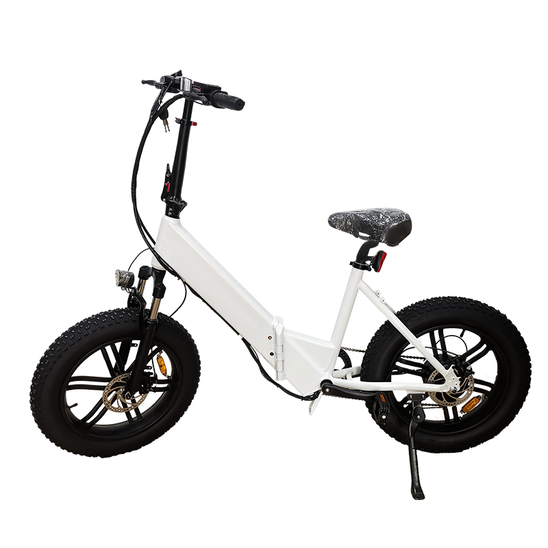 48V 10AH Step Through Electric Bike 20 Inch 7 Speed Hybrid Ebike