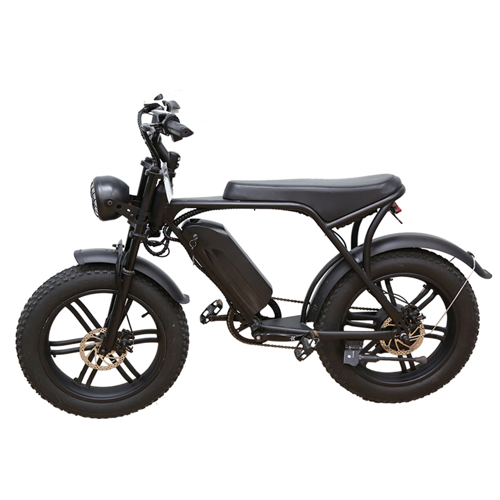 500W Electric Bike Car 20 Inch Motorcycle Electric Bike