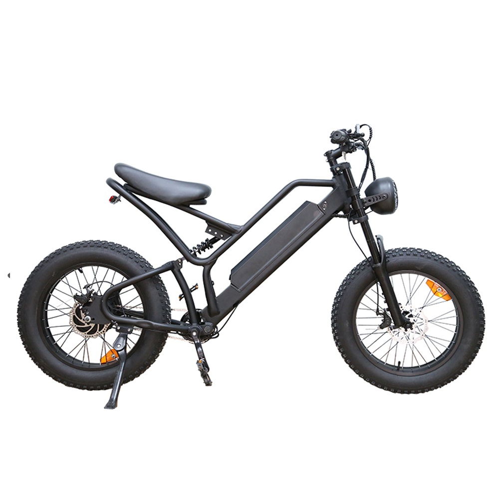 20inch Fat Tire Ebike 7 Speed Hydraulic Disc Brake  Motorcycle Electric Bike