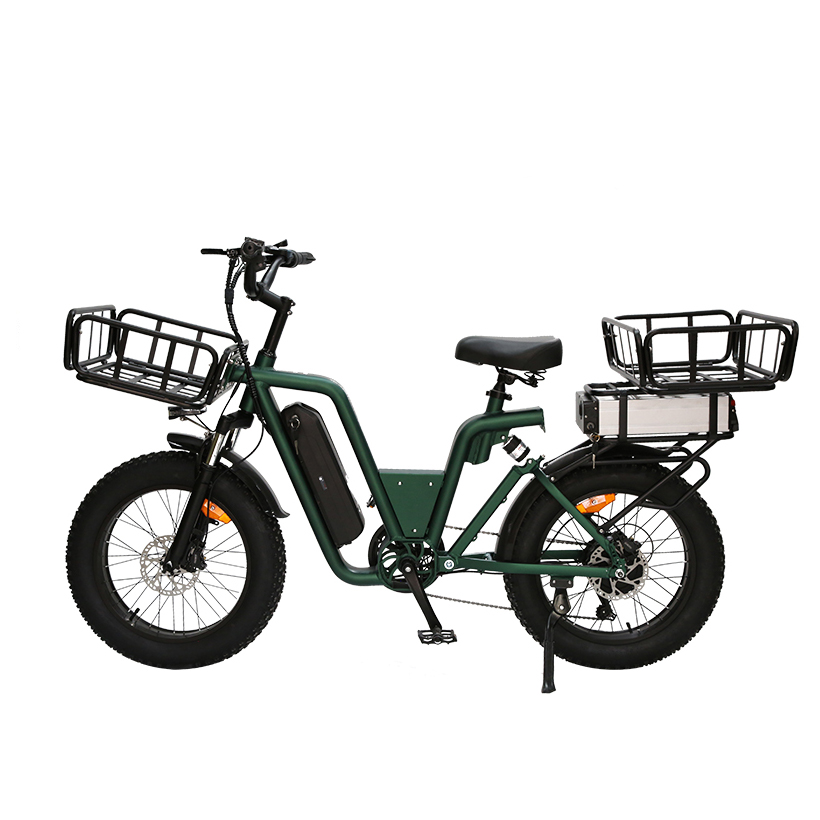 20*4.0 Ebike Dual Battery 48V 350W Fat Tyre Electric Bikes