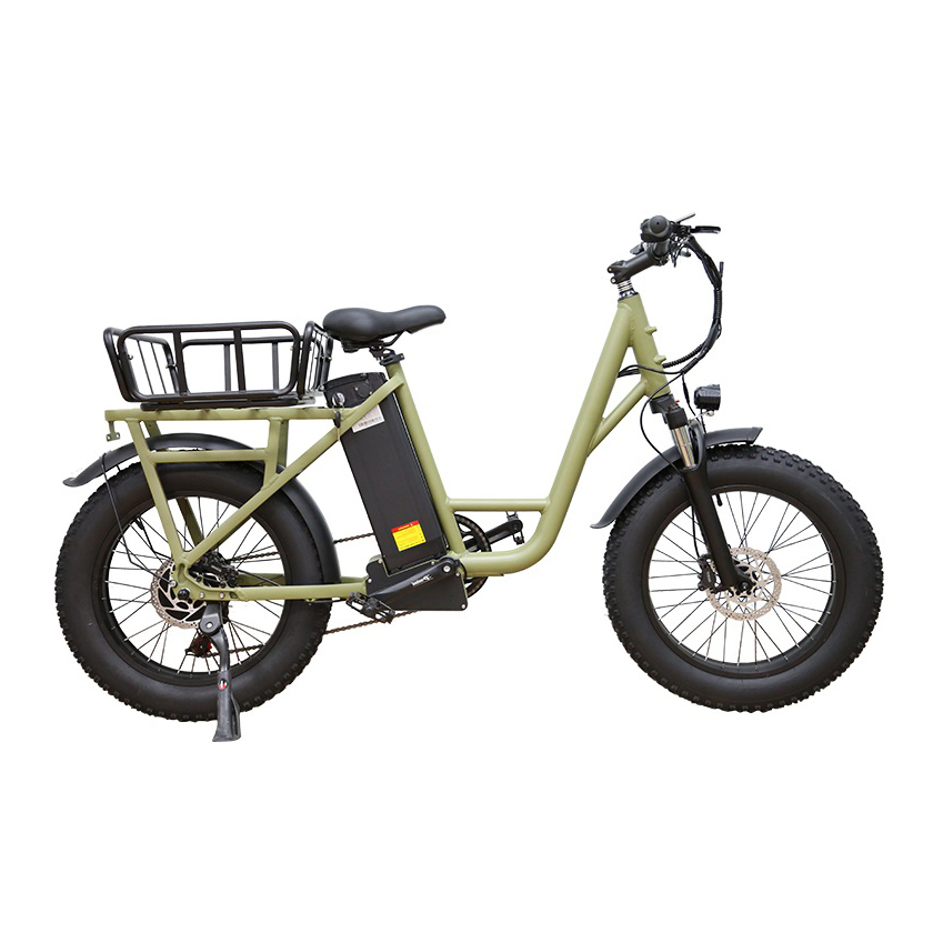 20 Inch Fat Tire Ebike 48V 15AH 7 Speed Electric Bike with Cargo