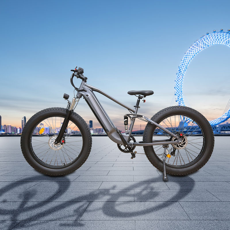 26inch ODM/OEM 750W electric bike snow electric bicycle