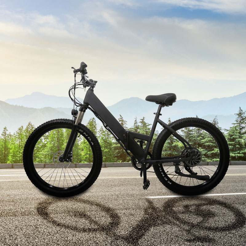 27.5inch 250w electric bike 36v odm adult electric bicycle