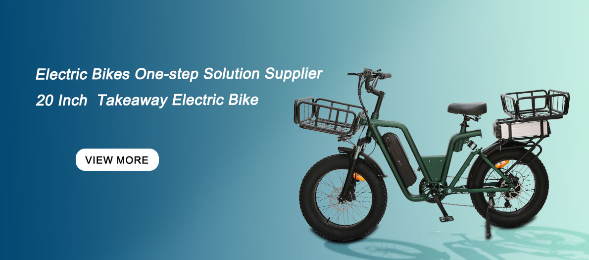 2022 popular folding electric bike 2 wheel electric bike for factory
