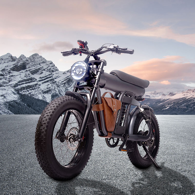 Fast electric bike odm oem 20