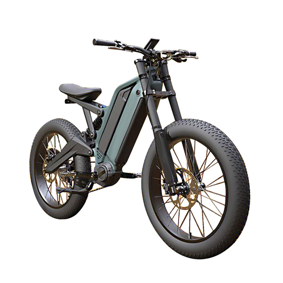 24 Inch 9 Speed Dual Battery Ebike 48V 15AH 10AH Fat Tire Ebike Electric Bike