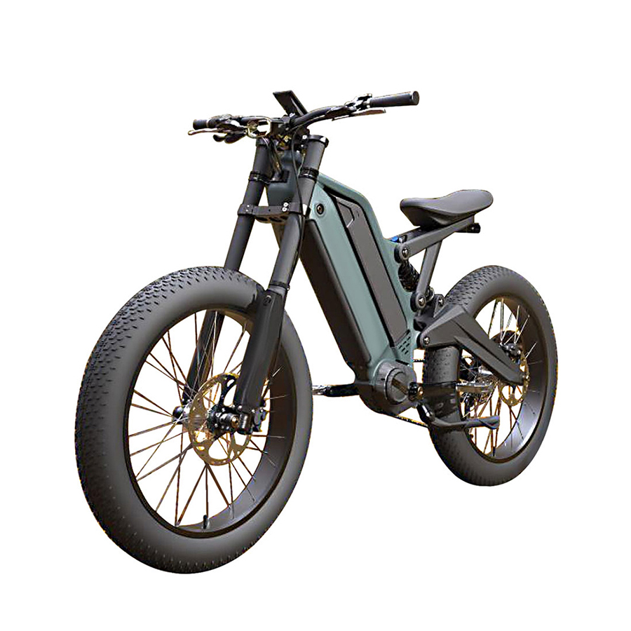 Electric Bike Fat Tire 1000W Central Motor Dirt Ebikes with Torque 