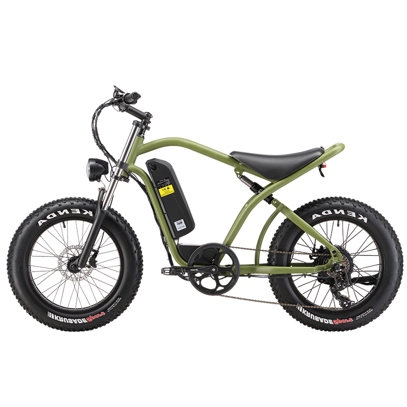 20*4.0 aluminum alloy ebike dirt bike off road 750 watt electric bike